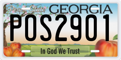 GA license plate POS2901