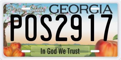 GA license plate POS2917