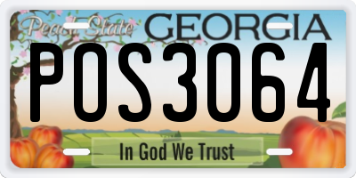 GA license plate POS3064