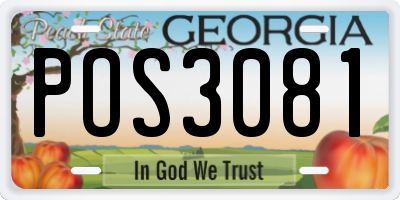 GA license plate POS3081