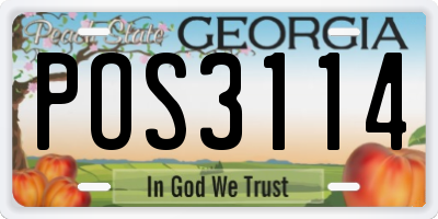 GA license plate POS3114