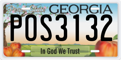 GA license plate POS3132