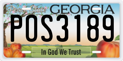 GA license plate POS3189
