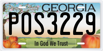 GA license plate POS3229
