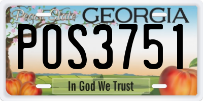 GA license plate POS3751