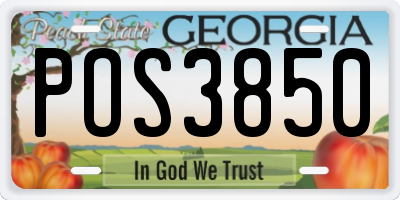 GA license plate POS3850
