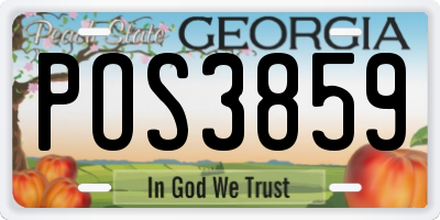 GA license plate POS3859