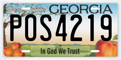 GA license plate POS4219