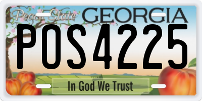 GA license plate POS4225