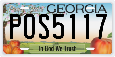GA license plate POS5117
