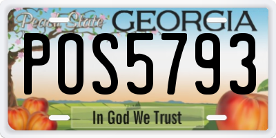 GA license plate POS5793