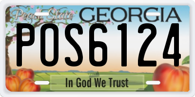 GA license plate POS6124