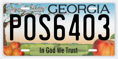 GA license plate POS6403