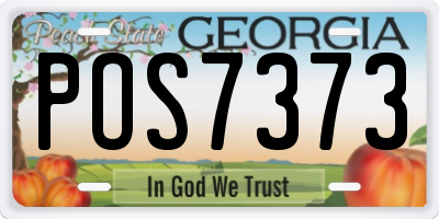 GA license plate POS7373