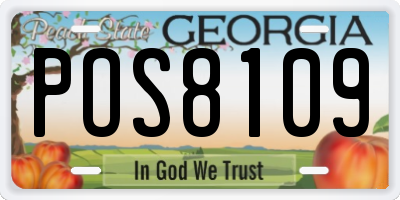 GA license plate POS8109