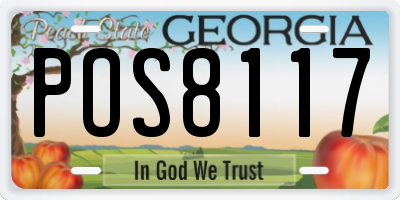 GA license plate POS8117