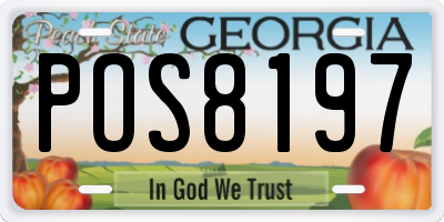 GA license plate POS8197