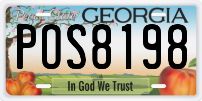 GA license plate POS8198