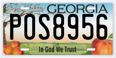 GA license plate POS8956