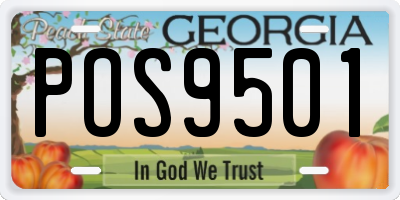 GA license plate POS9501