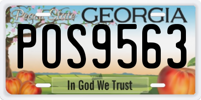 GA license plate POS9563