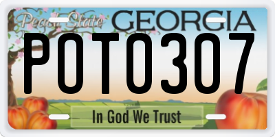 GA license plate POT0307