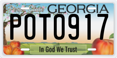 GA license plate POT0917