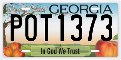 GA license plate POT1373