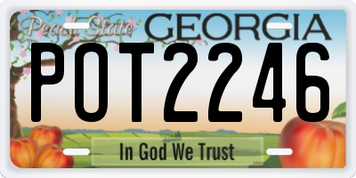 GA license plate POT2246