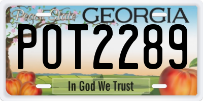 GA license plate POT2289