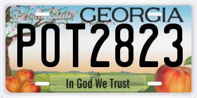 GA license plate POT2823