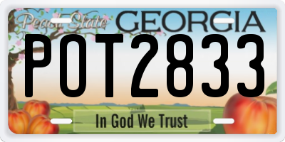 GA license plate POT2833