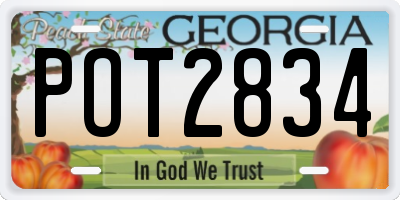 GA license plate POT2834