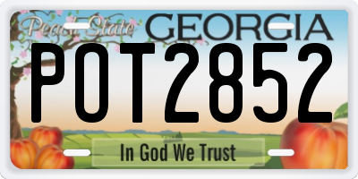 GA license plate POT2852