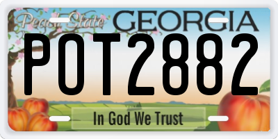 GA license plate POT2882