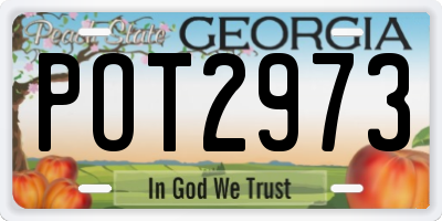 GA license plate POT2973