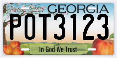 GA license plate POT3123