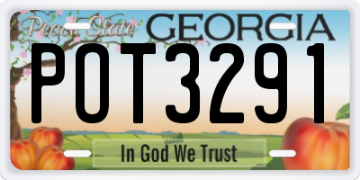 GA license plate POT3291