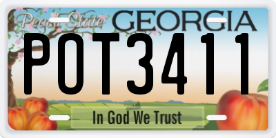 GA license plate POT3411