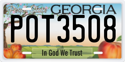 GA license plate POT3508