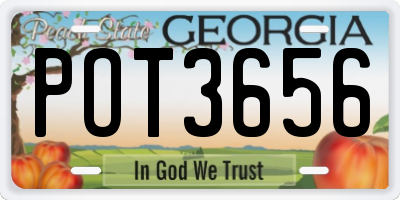 GA license plate POT3656