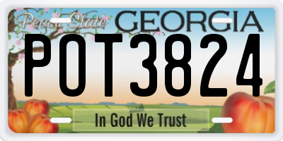 GA license plate POT3824
