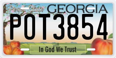GA license plate POT3854