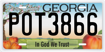 GA license plate POT3866