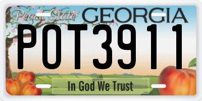 GA license plate POT3911