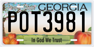 GA license plate POT3981