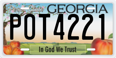 GA license plate POT4221