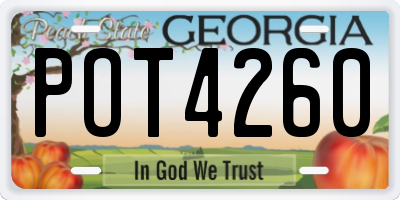 GA license plate POT4260