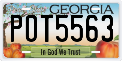 GA license plate POT5563