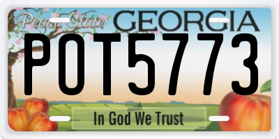 GA license plate POT5773